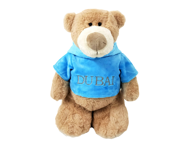 Mascot Bear with Printed Velour Hoodie